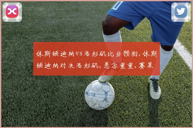 休斯顿迪纳vs洛杉矶比分预测,休斯顿迪纳对决洛杉矶,悬念重重,赛果几何