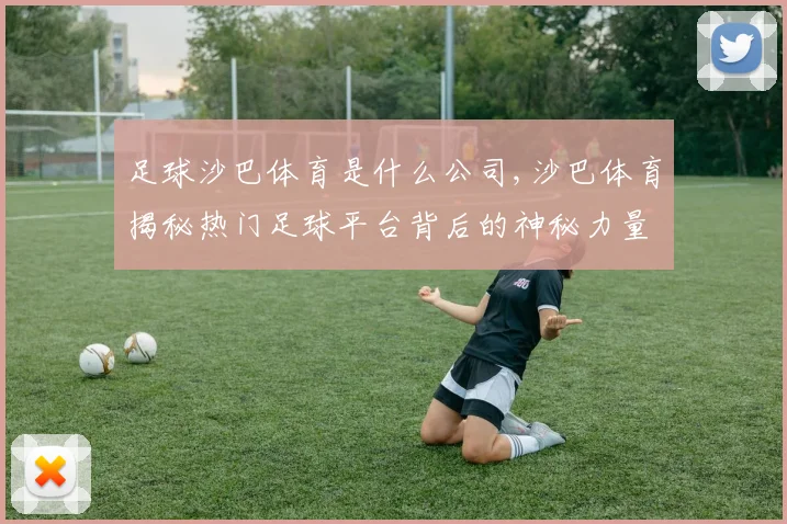 足球沙巴体育是什么公司,沙巴体育揭秘热门足球平台背后的神秘力量