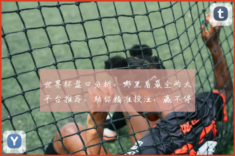 世界杯盘口分析，哪里看最全两大平台推荐，助你精准投注，赢不停